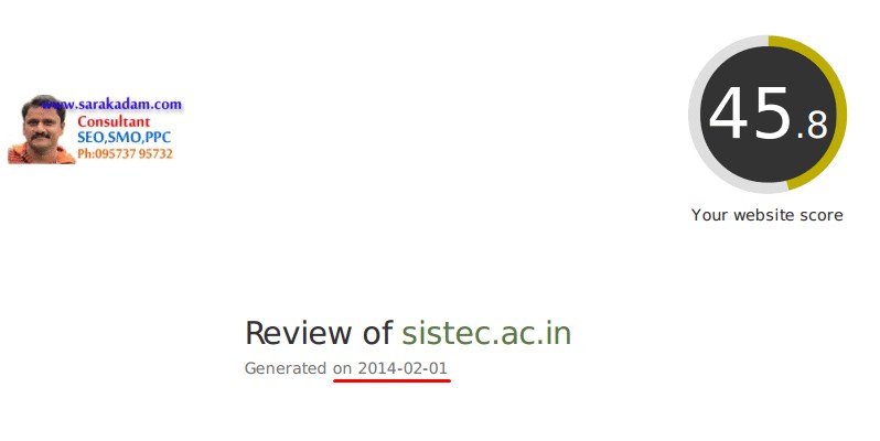 SEO Services India stats